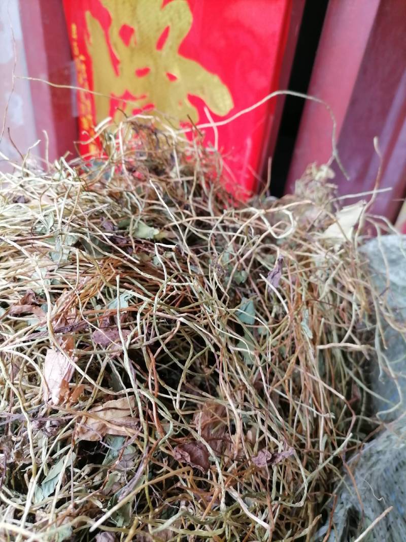 四叶参，别四瓣草，幸运草，野生无硫一手货源保证质量