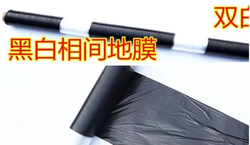 白色地膜黑白相间地膜拱棚白膜蔬菜大棚果树地包邮！