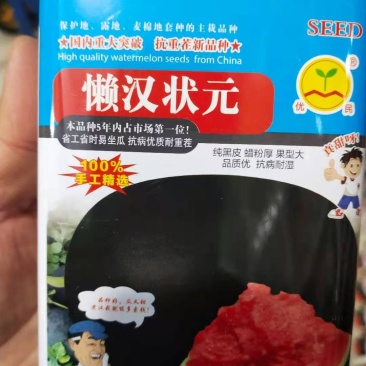 懒汉状元，抗重茬新品种纯黑皮蜡粉厚