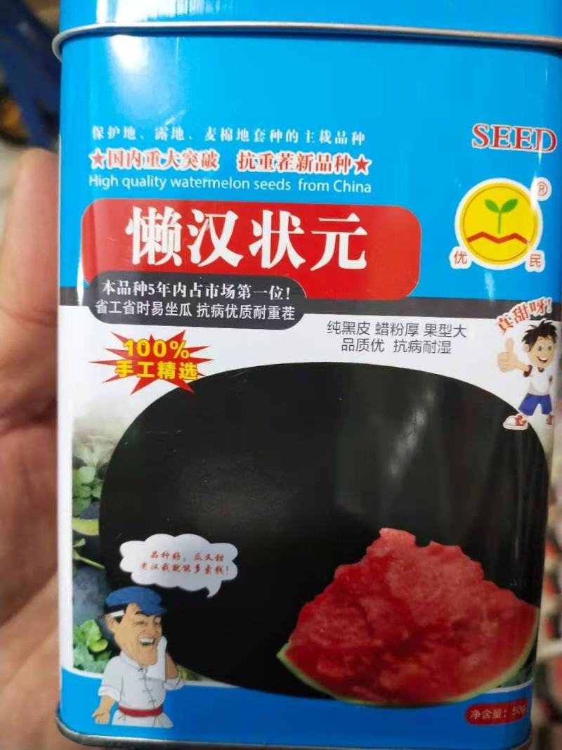 懒汉状元，抗重茬新品种纯黑皮蜡粉厚