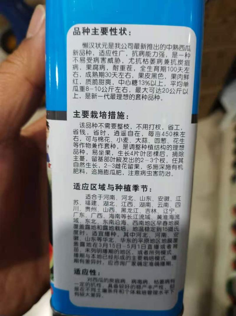 懒汉状元，抗重茬新品种纯黑皮蜡粉厚