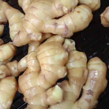 生姜块大，饱满，货源充足