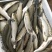 草鱼成品草鱼批发销售