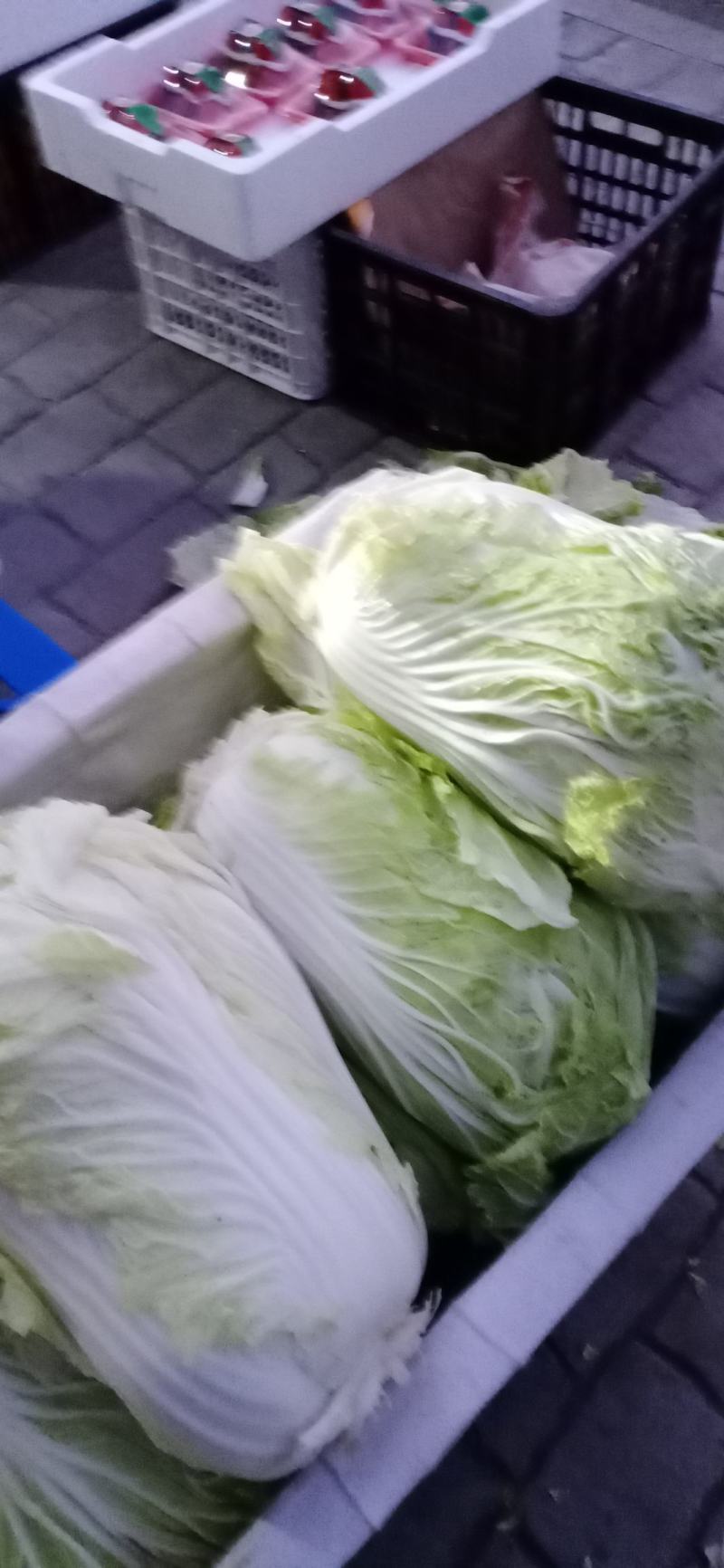 大白菜义和秋和北京三号大量上市中