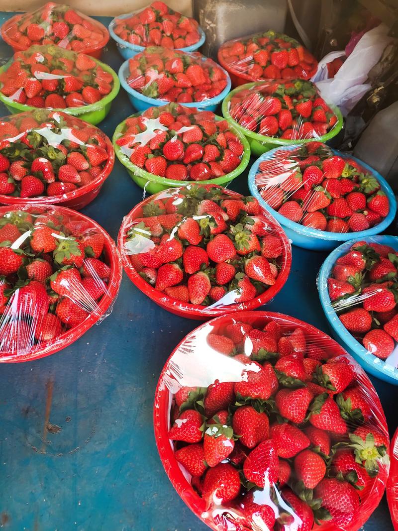 妙香草莓大量上市,愿与各界客商合作,互利互赢,共同发展