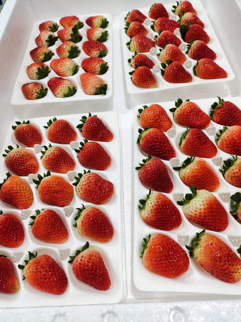 妙香草莓大量上市,愿与各界客商合作,互利互赢,共同发展