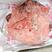 北京猪头国产精品肥猪头厂价直销可定做无耳或带耳批半无耳