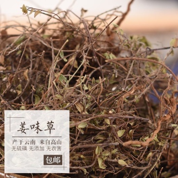 千草堂药材云南姜味草500克包邮小姜草小香草胡椒草