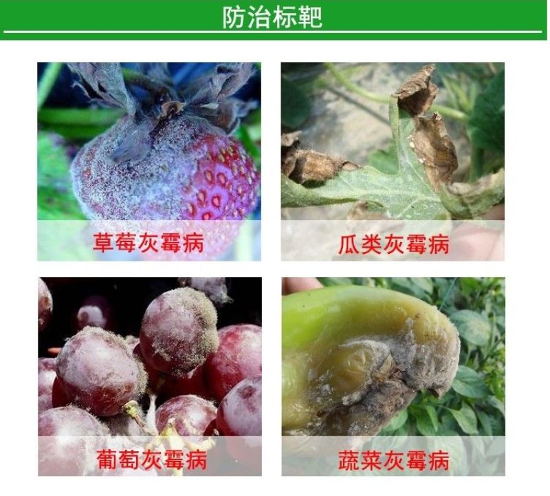 禾益20%腐霉利悬浮剂葡萄灰霉病油菜菌核病杀菌剂