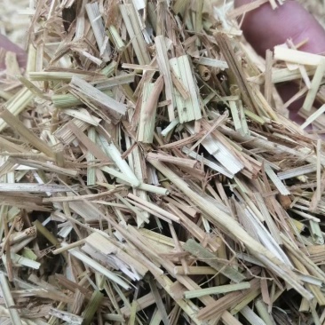 克拉斯捡拾粉碎压块稻草