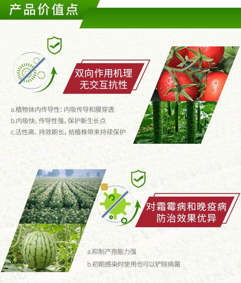 拜耳银法利辣椒黄瓜番茄霜霉病马铃薯疫病杀菌剂