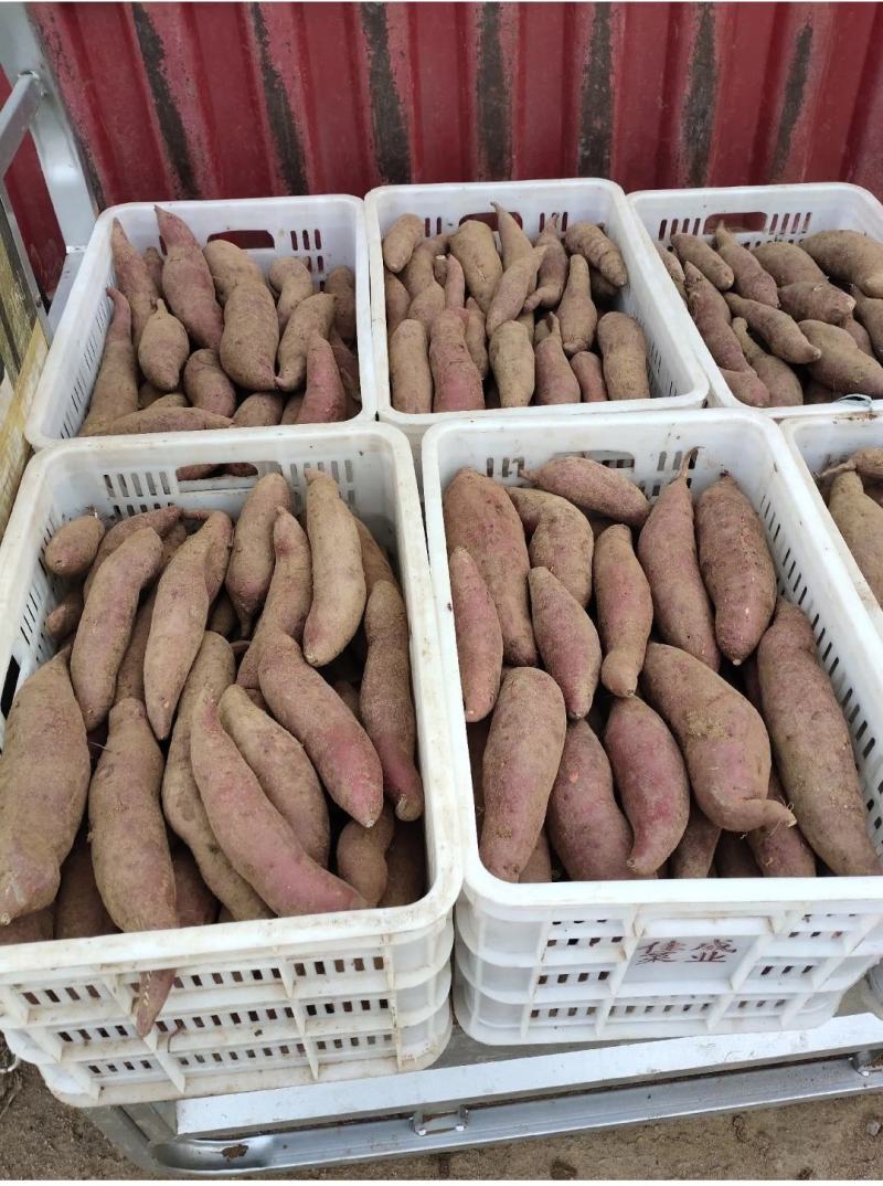 精品西瓜红，龙九，货源充足有需要的请联系