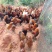 正宗放养八个月以上土鸡