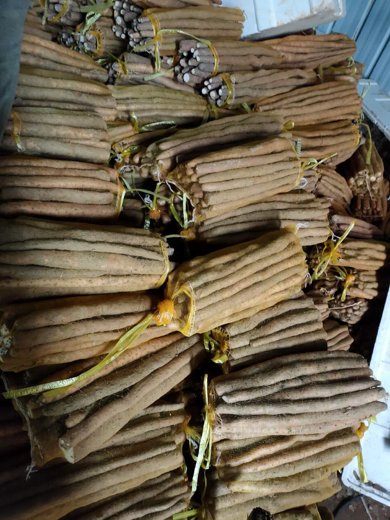 山药，棒山药，网袋山药，水洗不洗的都有。礼品盒，箱货都有