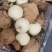 黄元帅，看货定价，需要联系