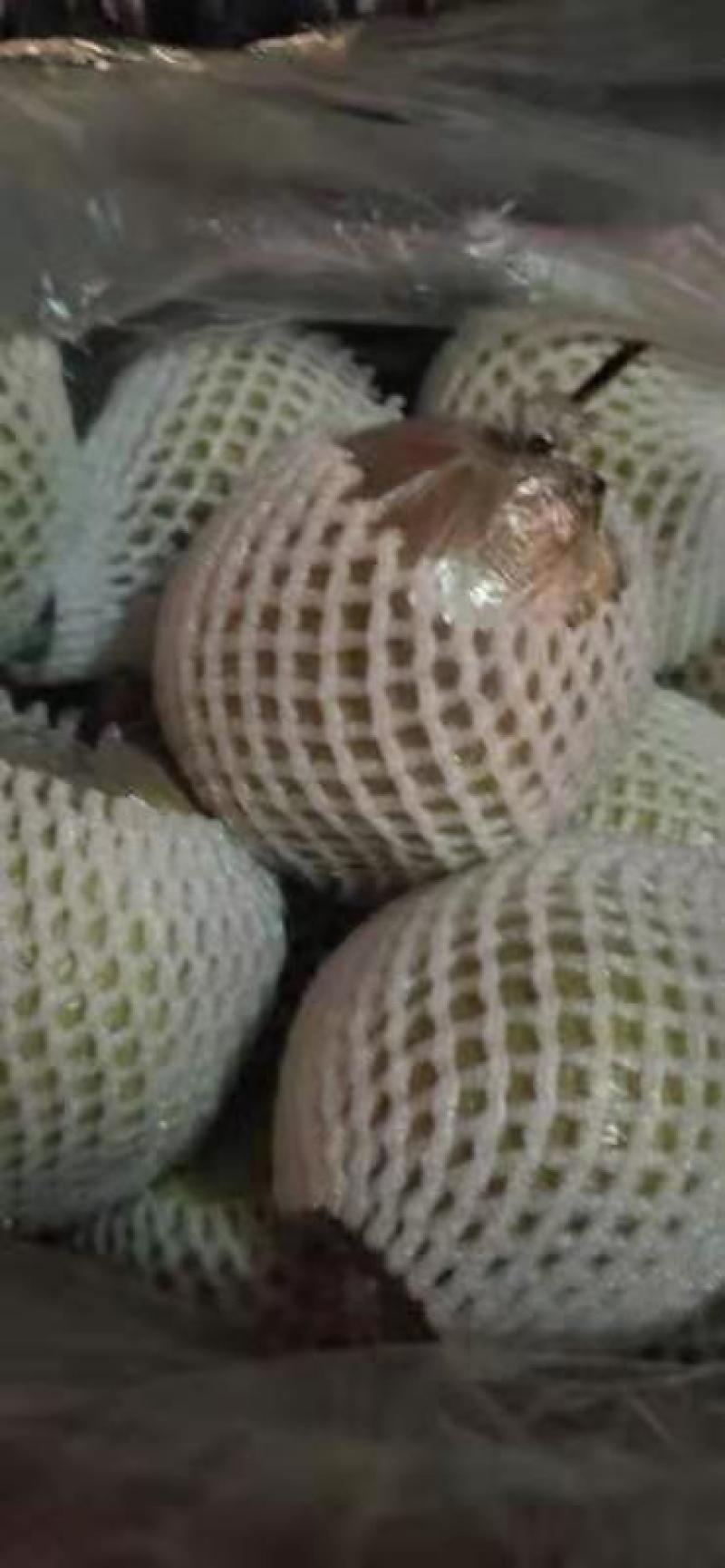 万荣玉露香梨。，量大从优，可供超市。价格合理，需要联系