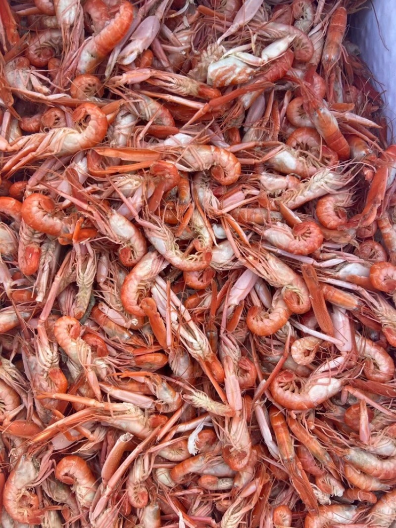 抓虾，铁皮虾肉质饱满，今年新货，货源充足