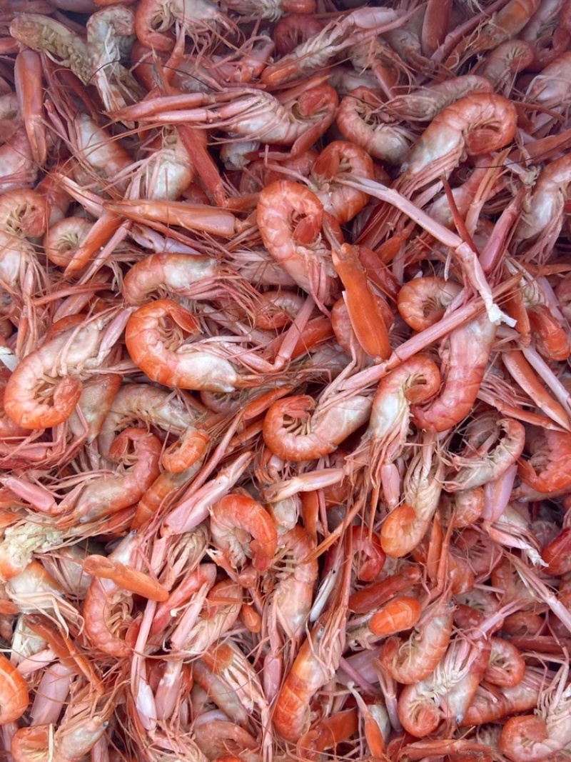 抓虾，铁皮虾肉质饱满，今年新货，货源充足