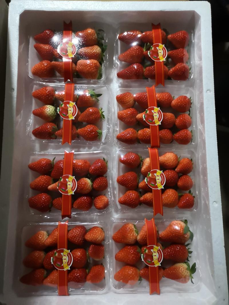 【精品】奶油草莓品质保证量大从优全国发货规格齐全货源充足