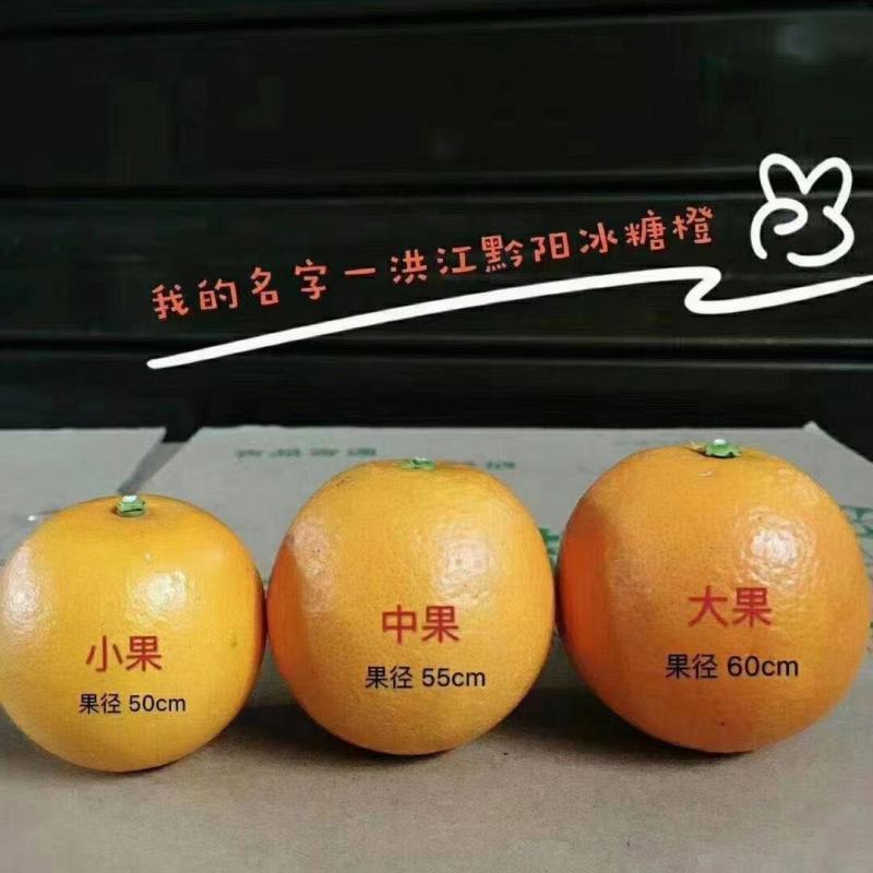 湖南省黔阳优质冰糖橙，果肉鲜嫩，甜度高，老少喜爱送礼佳品