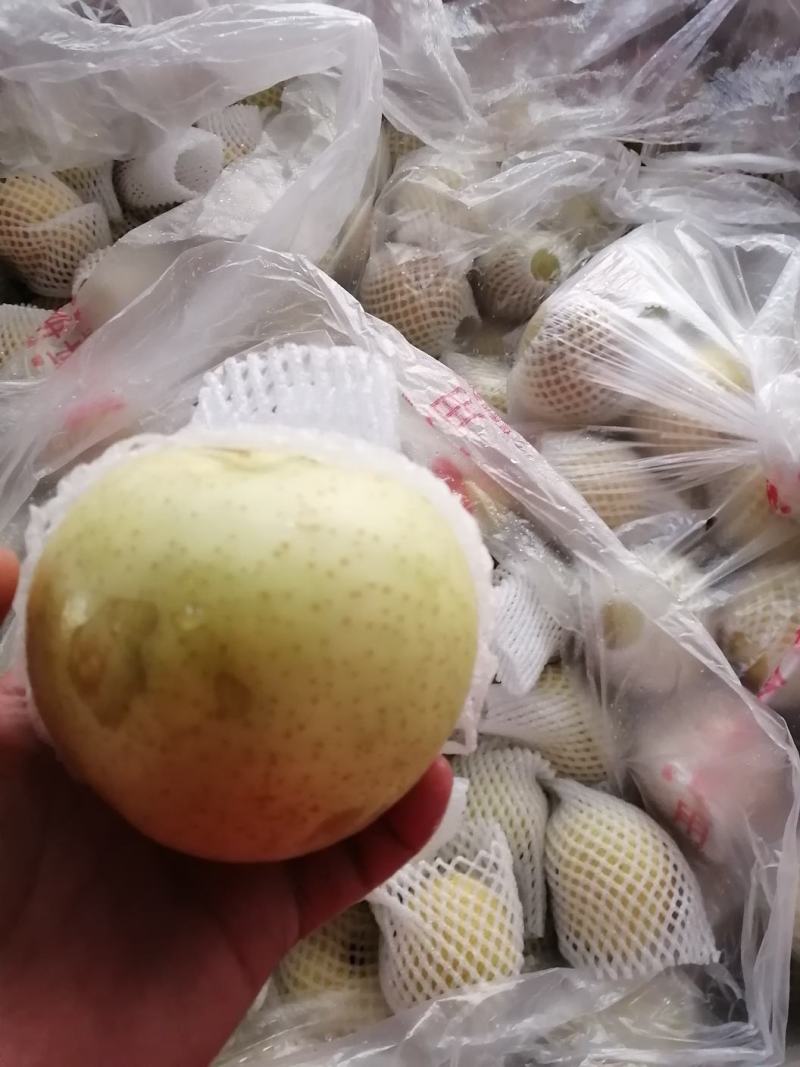 黄金梨，规格85以上，口感脆甜。