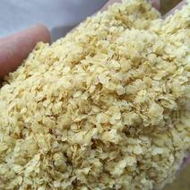 优质小麦胚芽蛋白26以上