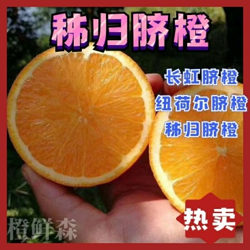 伦晚脐橙秭归脐橙个大味甜皮薄汁多色泽鲜亮口感好
