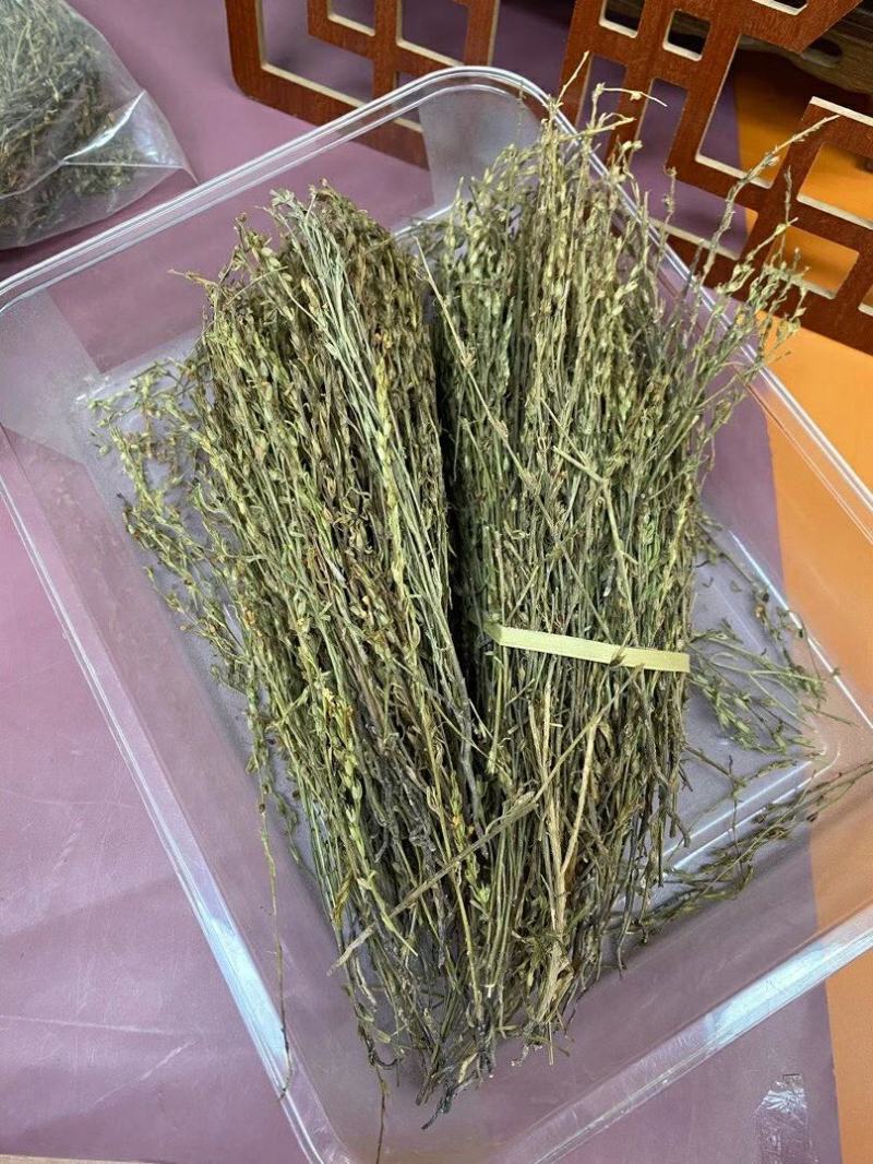 新到特惠独角金¥490一斤