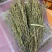 新到特惠独角金¥490一斤