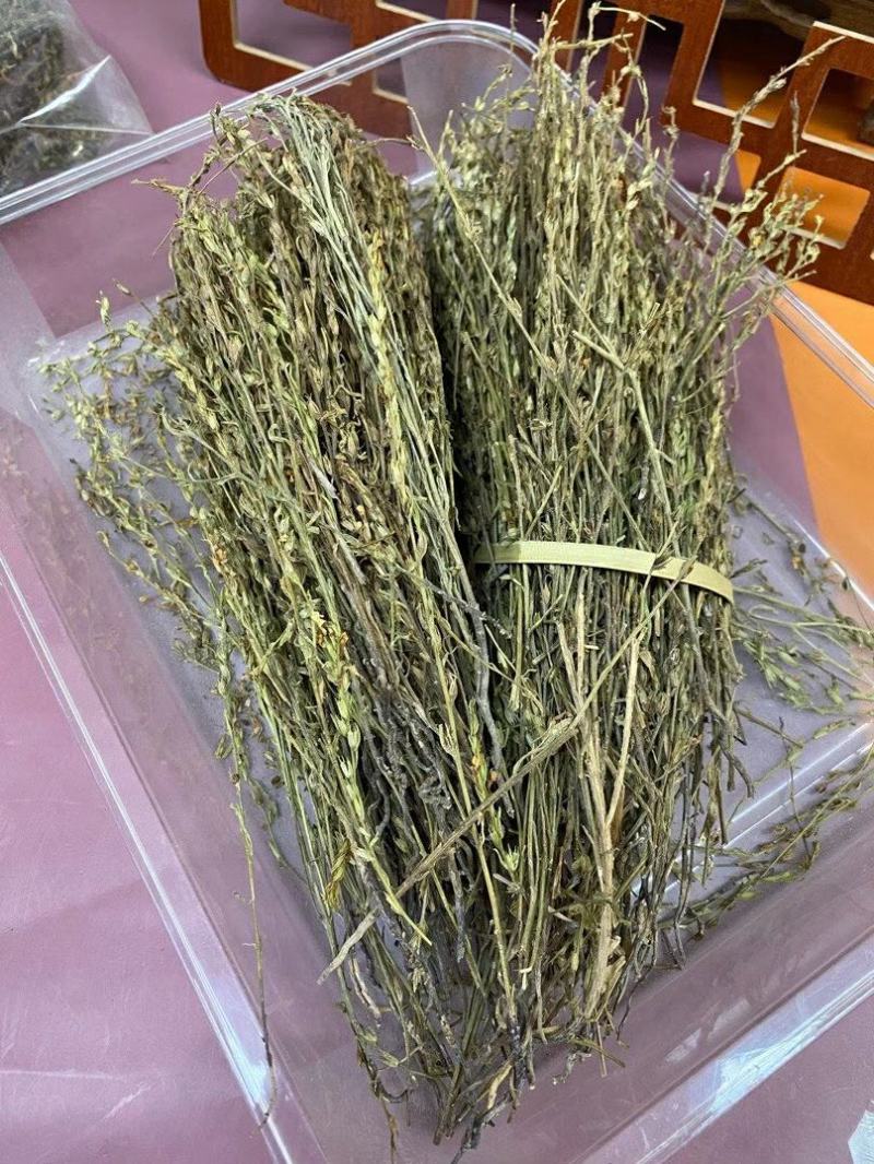 新到特惠独角金¥490一斤