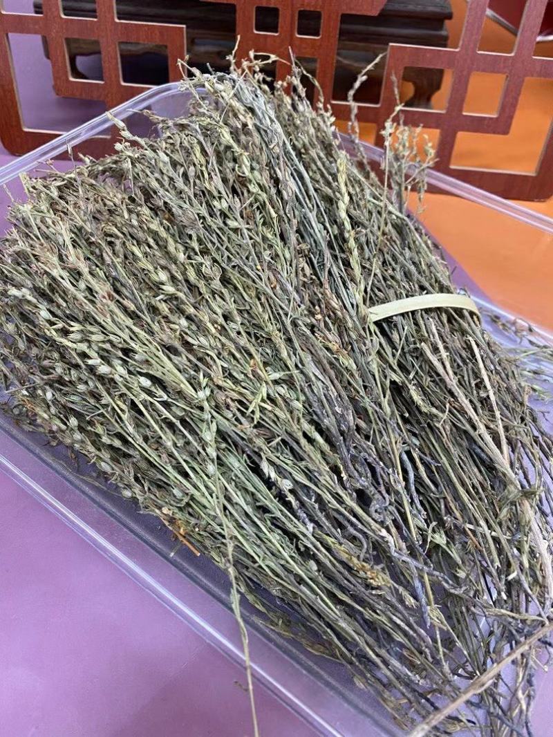 新到特惠独角金¥490一斤