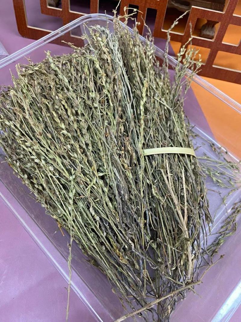 新到特惠独角金¥490一斤