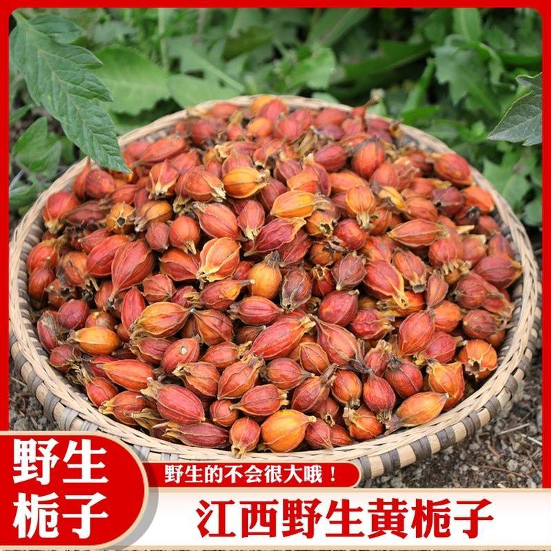 栀子正品江西栀子黄栀子非福建栀子含量达标可药检