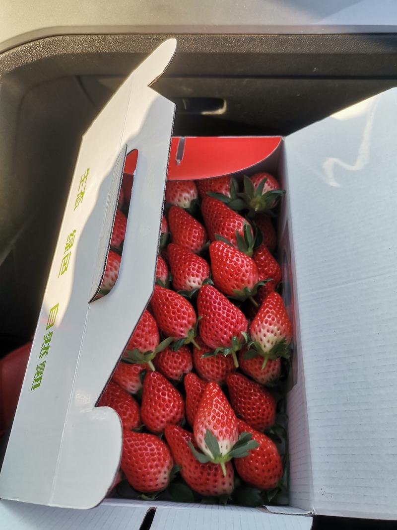 3斤装70元一盒不断货精选奶油草莓长期装盒和供应水果店