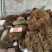 四川野生海金沙草全压缩件