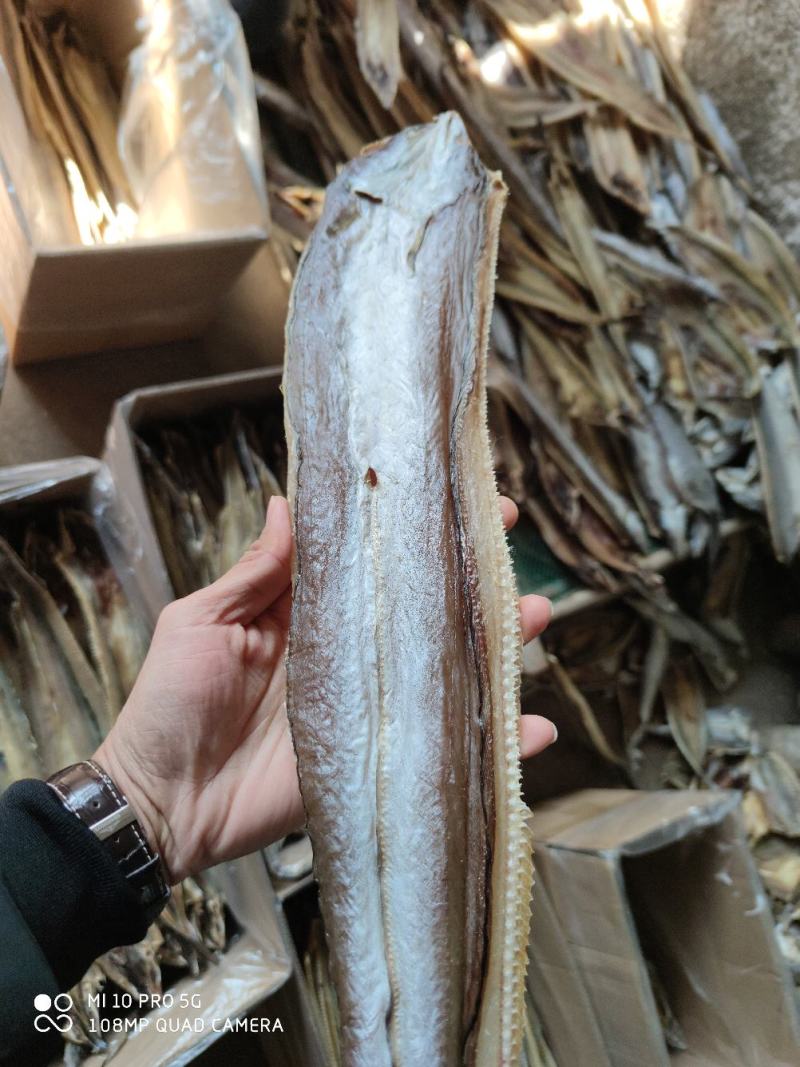 北部湾深海鳗鱼片鳗鱼干鱼干货小鱼干晒厂直销