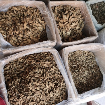 振兴药材批发供应中选牛蒡茶产地直销价牛蒡茶