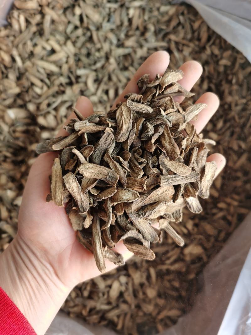 振兴药材批发供应统货牛蒡产地直销价牛蒡量大从优