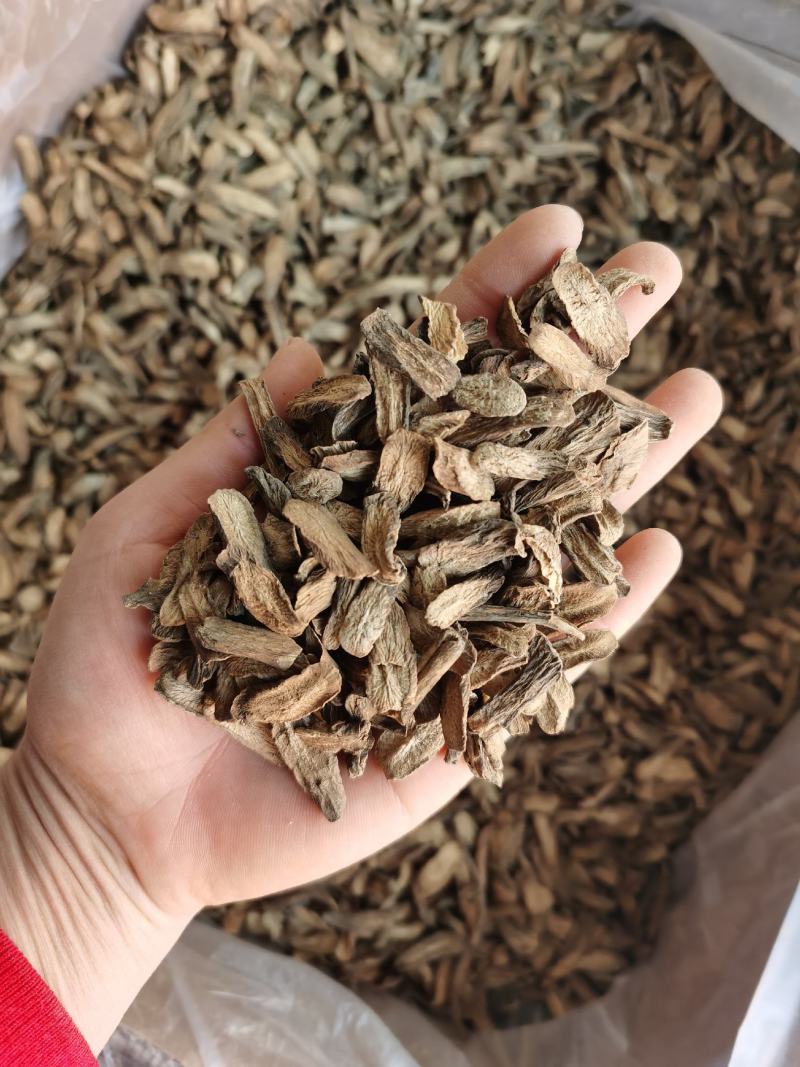 振兴药材批发供应统货牛蒡产地直销价牛蒡量大从优