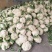 精品菜花大量上市。质量好，价格便宜，量大从优。