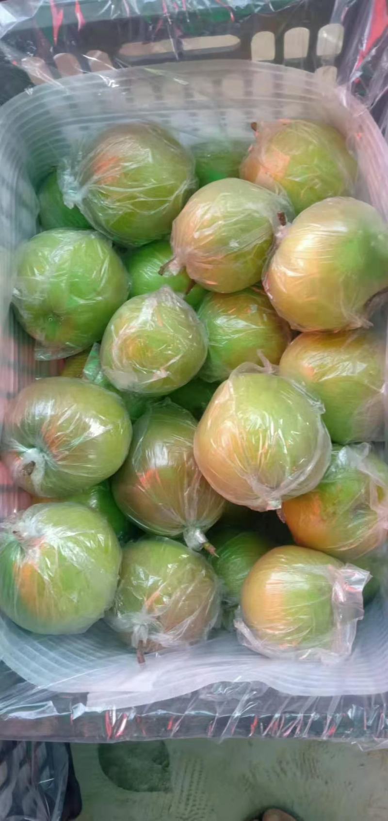 万荣玉露香梨。，量大从优，可供超市。价格合理，需要联系