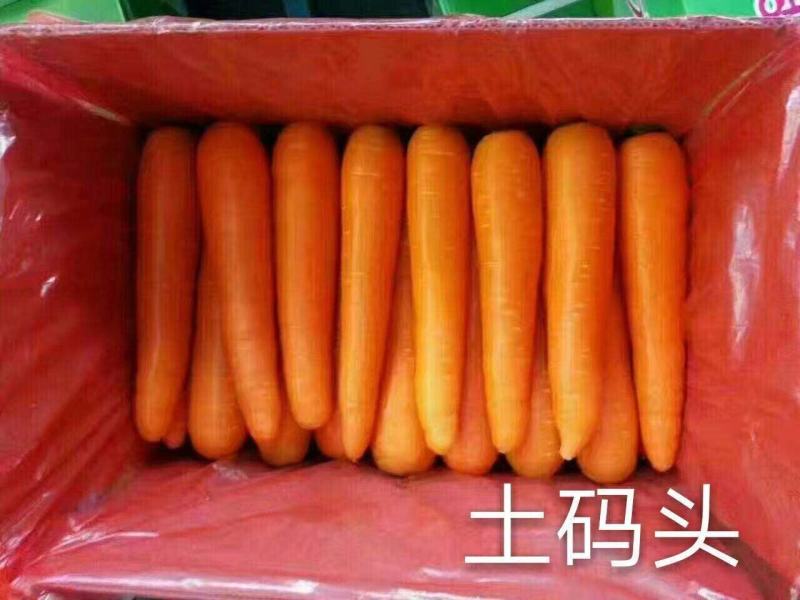精品水洗胡萝卜出口级