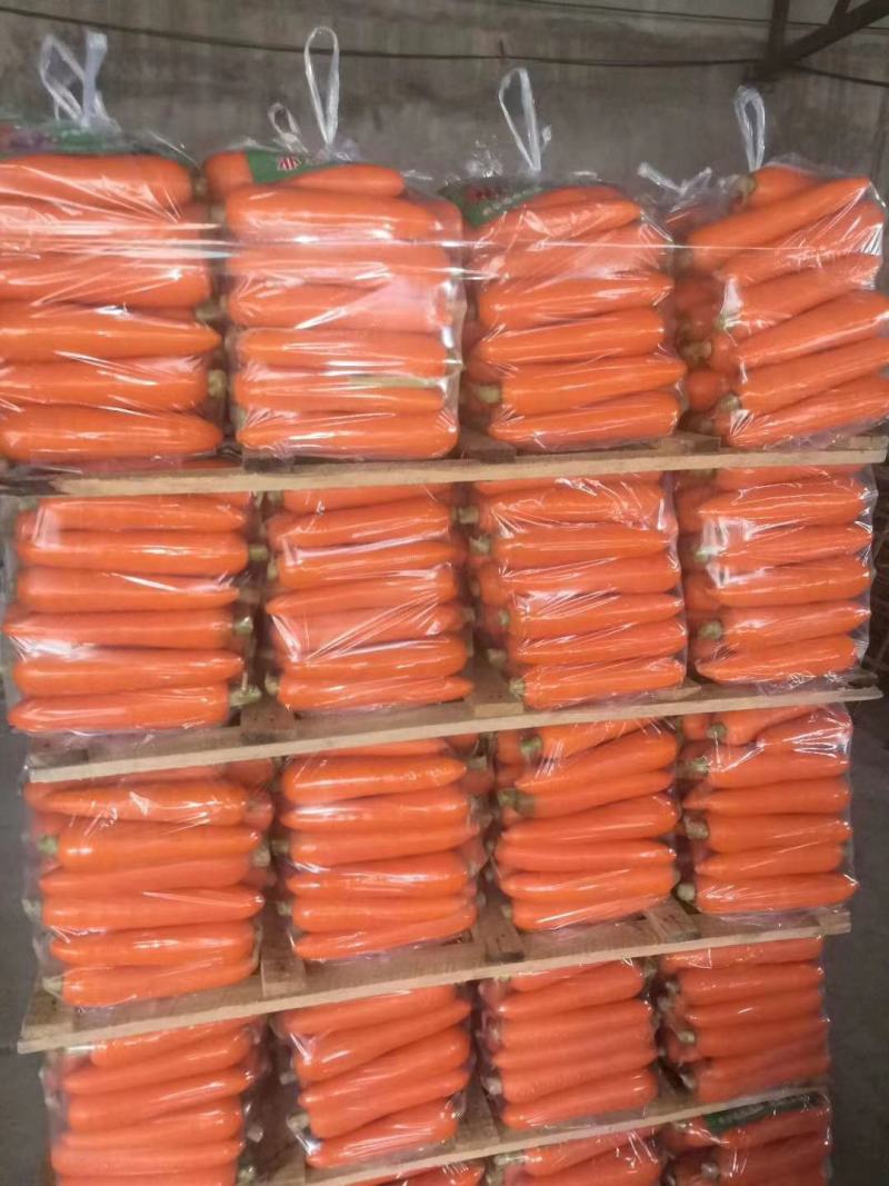 精品水洗胡萝卜出口级