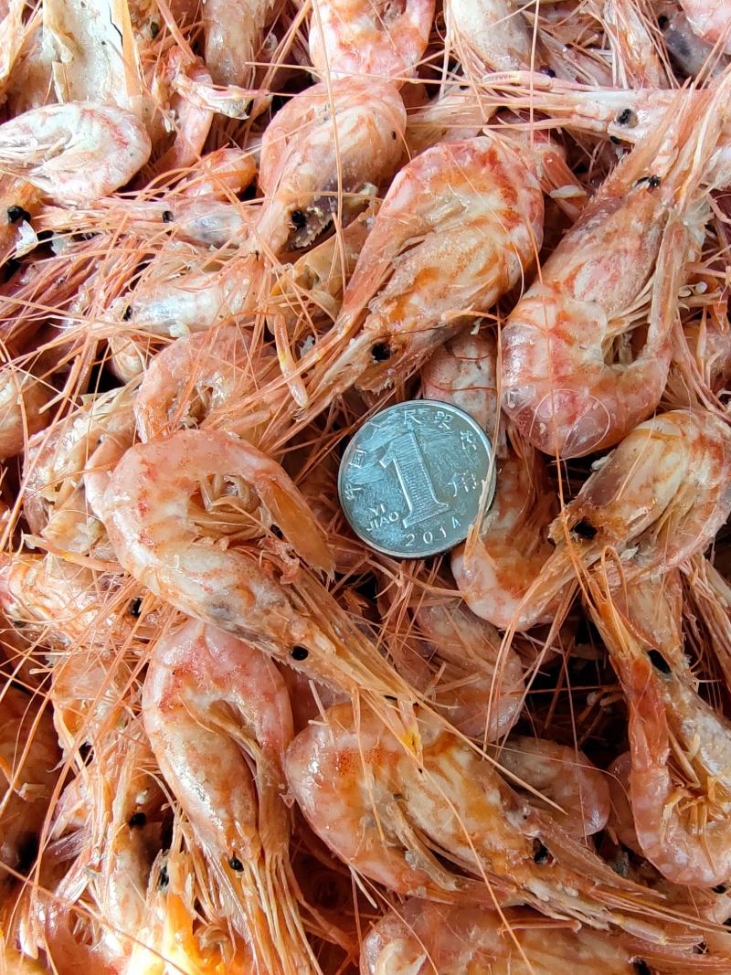 山东沾化红虾油炸.麻辣虾食材熟冻虾新货可视频看货产地直销