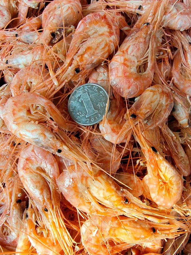 山东沾化红虾油炸.麻辣虾食材熟冻虾新货可视频看货产地直销