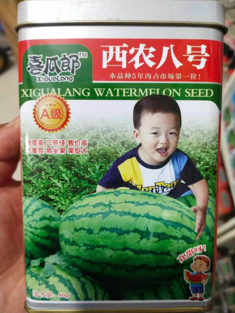 西农8号西瓜种子，级度高口感佳售价高重茬易坐果