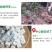 【新货上市】茯苓丁白茯苓茯苓粉伏苓茯苓块