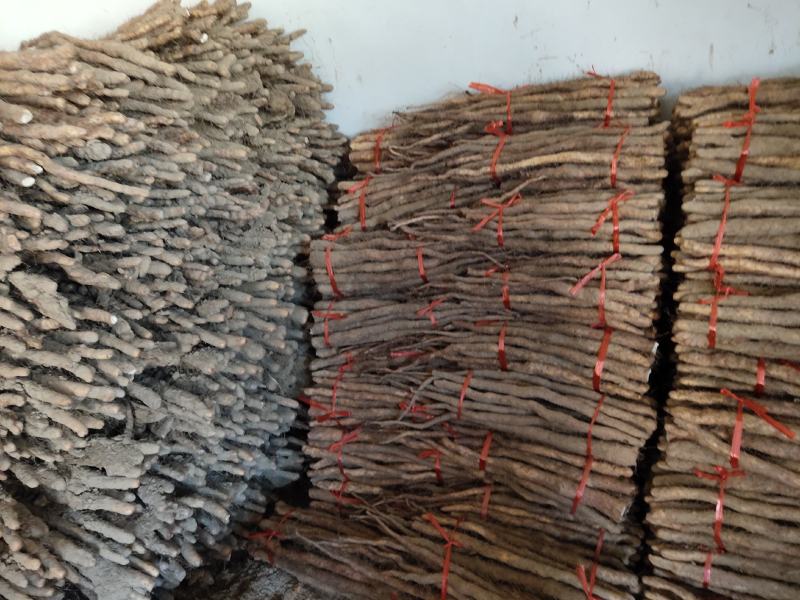 焦作卢地铁棍山药口感干面甜，产地直销一手货源