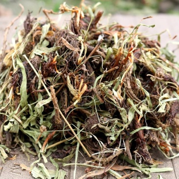 甘松药材各种规格甘松全草纯根水洗质量保证