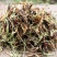 甘松药材各种规格甘松全草纯根水洗质量保证